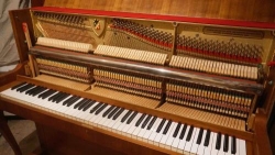 Paresi Thomas Accordeur de piano, Villes-sur-Auzon - Horaires d'ouverture