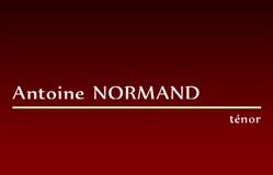 Antoine NORMAND, Nantes - Horaires d'ouverture