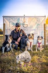 Positiv Dog Coaching, Craintilleux - Horaires d'ouverture