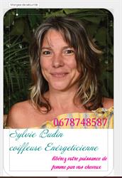 Sylvie Budin coiffure&energie, Biol - Horaires d'ouverture