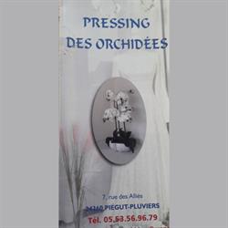Pressing Des Orchidées, Piégut-Pluviers - Horaires d'ouverture