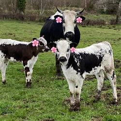 Domaine de la Bio'Veillance, Le Compas - Horaires d'ouverture