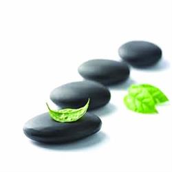 Stagereiki BRUNETTI Bruno, Chanteloup-les-Vignes - Horaires d'ouverture