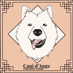 Cani d'Ange, Rouen - Horaires d'ouverture