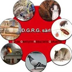 DGRG, Ungersheim - Horaires d'ouverture