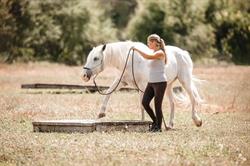 Communication-cheval.fr, Montaigu-de-Quercy - Horaires d'ouverture