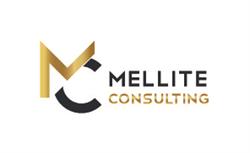 MELLITE CONSULTING, Villeurbanne - Horaires d'ouverture