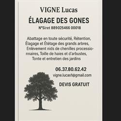 Elagage des Gones, Mions - Horaires d'ouverture