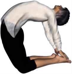 Centre de Yoga Blois - ADYS, Vineuil - Horaires d'ouverture
