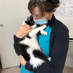 Clinique Vétérinaire des Jasmins, Vence - Horaires d'ouverture
