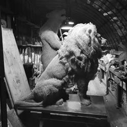 Wildlife Art, Aurélien Raynaud, Aix-en-Provence - Horaires d'ouverture