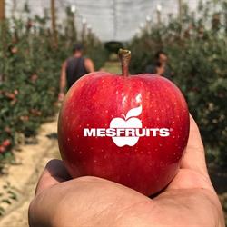 Mesfruits, Cavaillon - Horaires d'ouverture