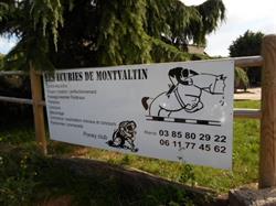 Les Ecuries de Montvaltin, Le Breuil - Horaires d'ouverture
