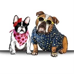 Bulldogs Et Compagnie, Tours - Horaires d'ouverture
