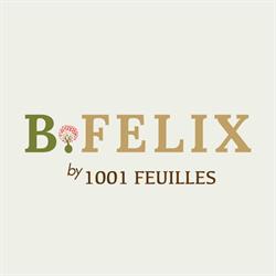 B.FELIX Paysagiste By 1001 Feuilles, Ennevelin - Horaires d'ouverture