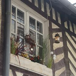 Naturogite honfleur homme de bois, Honfleur - Horaires d'ouverture