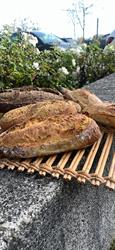 L'Atelier du Ptit Louis, Saint-Apollinaire - Horaires d'ouverture