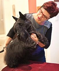La Formation au Toilettage pour Chiens et Chats par Karin Jacob au salon So 'Chic And Co, Obernai - Horaires d'ouverture