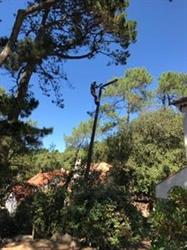 Arbor Ouest, Pornic - Horaires d'ouverture