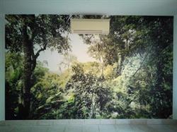 Rémy Castan Peintre en Bâtiment, Landiras - Horaires d'ouverture