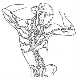 Chloé Chevallier Chiropracteur, Neuilly-sur-Marne - Horaires d'ouverture