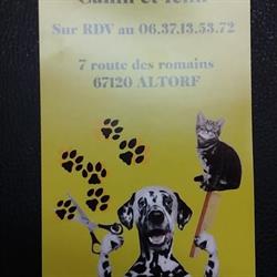 Look Dog, Altorf - Horaires d'ouverture