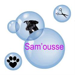 Salon de Toilettage, Sam'ousse, Brionne - Horaires d'ouverture