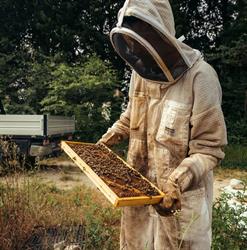 L'Escale des abeilles - Miel direct producteur, Sarrians - Horaires d'ouverture