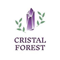 Cristal Forest - Minéraux et bijoux en pierres naturelles (Ventes en direct sur RDV), Le Havre - Horaires d'ouverture