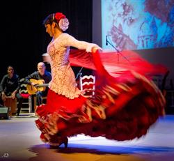 Flamenco Medialuna, Saint-Martin-d'Hères - Horaires d'ouverture