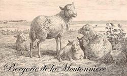 Bergerie de la Moutonnière, Le Pin - Horaires d'ouverture