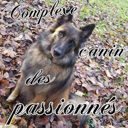 Elodie taillieu-educateur Comportementaliste canin et félins, Raismes - Horaires d'ouverture