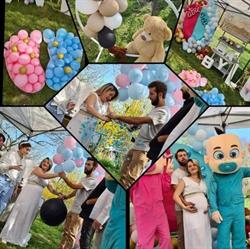 Festifs Event, Gujan-Mestras - Horaires d'ouverture