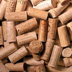 Adonis Wine Bar, Paris - Horaires d'ouverture