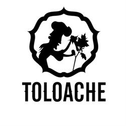 Toloache, Paris - Horaires d'ouverture
