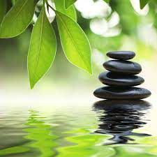 SARL TERRES DES ZEN, Agen - Horaires d'ouverture