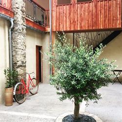 Le Patio - Vallée d'Aspe, Bedous - Horaires d'ouverture