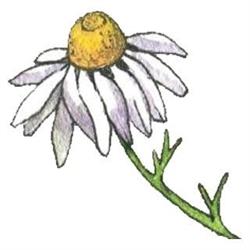 La Prairie des Simples, Les Brouzils - Horaires d'ouverture