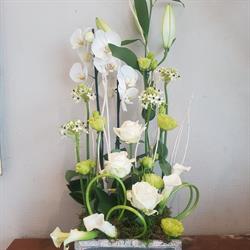 Vertige Fleuri, Mers-les-Bains - Horaires d'ouverture