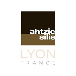 Galerie Atelier Ahtzic Silis, Lyon - Horaires d'ouverture