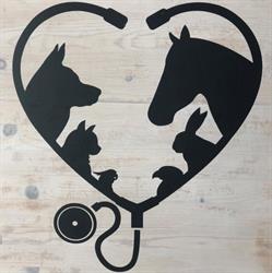 Clinique Veterinaire Du Rigaou, Aubagne - Horaires d'ouverture