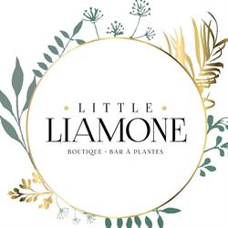 Little Liamone - Concept Store - Bar à Plantes, Lyon - Horaires d'ouverture