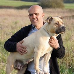 The Forgiveness American Dog Éleveur et Pension Canine, Branges - Horaires d'ouverture