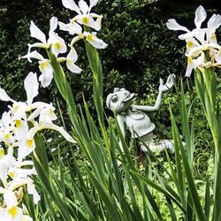 "Le Crapaud à trois pattes" Jardin Remarquable, Lucy - Horaires d'ouverture