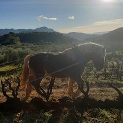 Domaine La Michelle, Auriol - Horaires d'ouverture