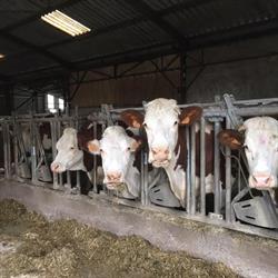 La Ferme du Marmont, Saint-André-sur-Vieux-Jonc - Horaires d'ouverture