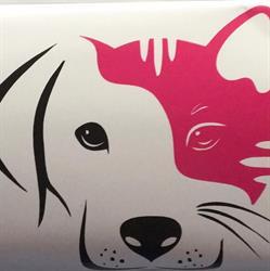 BETTY DOG, Montfaucon-en-Velay - Horaires d'ouverture