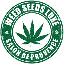 CBD Salon de Provence - Weedseedsluxe, Salon-de-Provence - Horaires d'ouverture