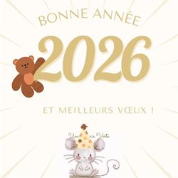 Une Souris Verte - Jouets - Jeux - Cadeaux de naissance - Puériculture, Saint-Amand-les-Eaux - Horaires d'ouverture