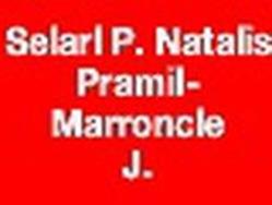 Pierre Natalis et Julien Pramil-Marroncle, Arcachon - Horaires d'ouverture